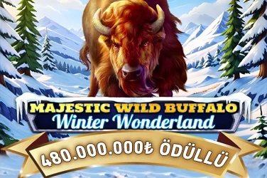 Majestic Wild Buffalo -  Winter Wonderland